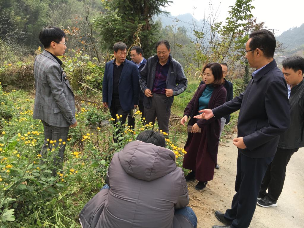 冉镇西一行先后深入曾家镇星明村,桃花村,五星村,牛头店镇国庆村,曙坪